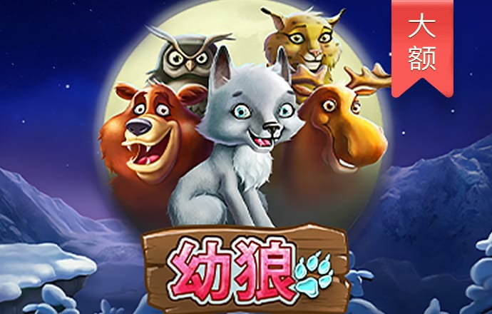 196体育app登录注册